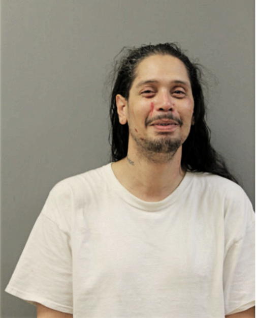 LUIS ANTONIO GARCIA, Cook County, Illinois