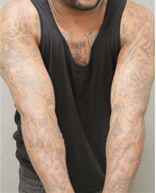 ROMELL J HARRIS, Cook County, Illinois