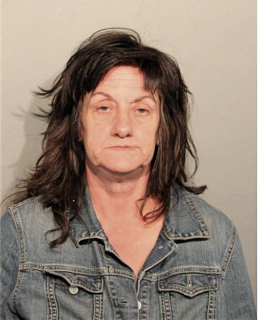 CYNTHIA A KABERLIEN, Cook County, Illinois