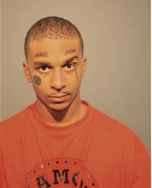 KELVIN G LANGSTON, Cook County, Illinois