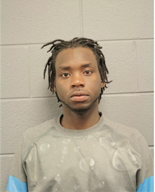 LARRY K MATTHEWS, Cook County, Illinois