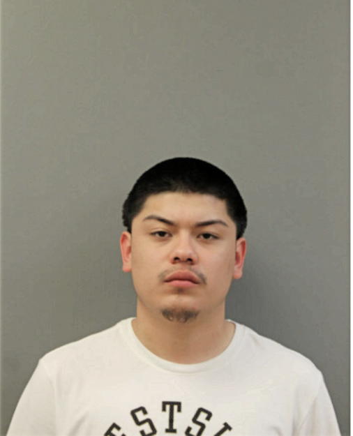 OSCAR G ORTEGA, Cook County, Illinois