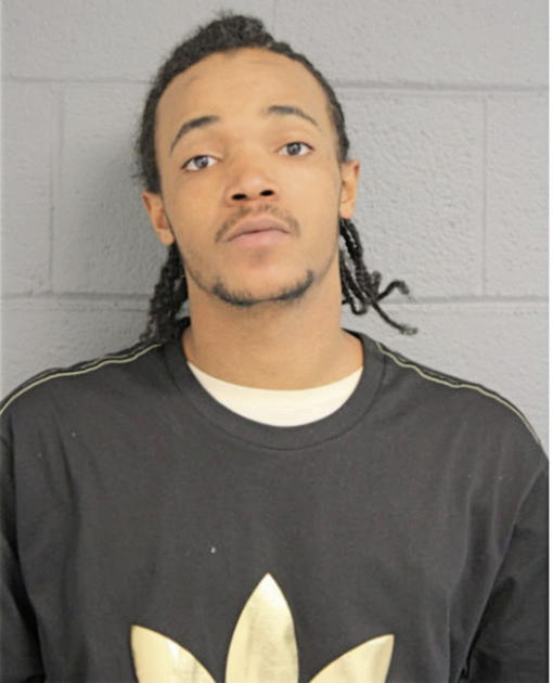 VINCENT R RIDDLE, Cook County, Illinois
