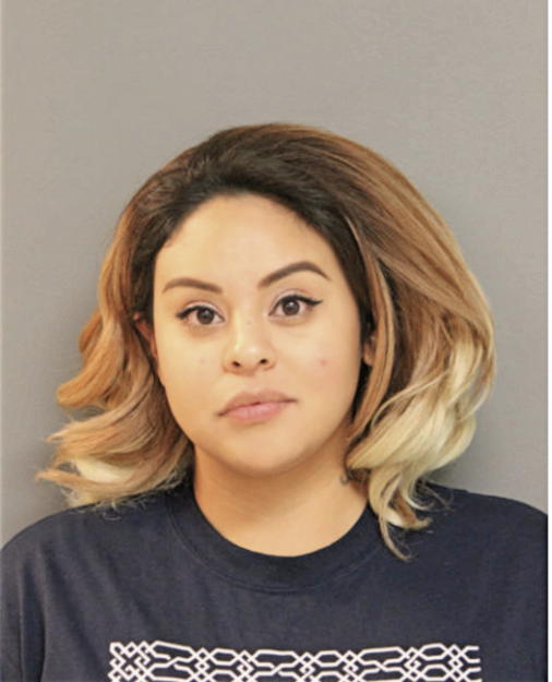 IRAIS RODRIGUEZ, Cook County, Illinois