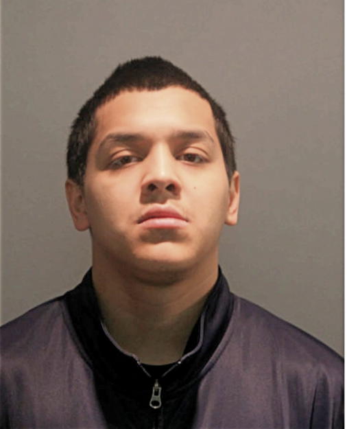 ALBERT G SANDOVAL, Cook County, Illinois