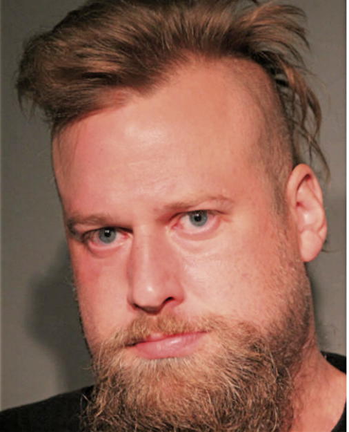 MICHAEL E WALSH, Cook County, Illinois