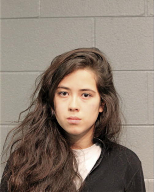 BROOKE WENRU ADAMS, Cook County, Illinois