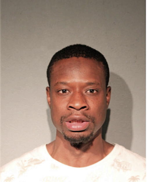 MICHAEL L AMISON, Cook County, Illinois