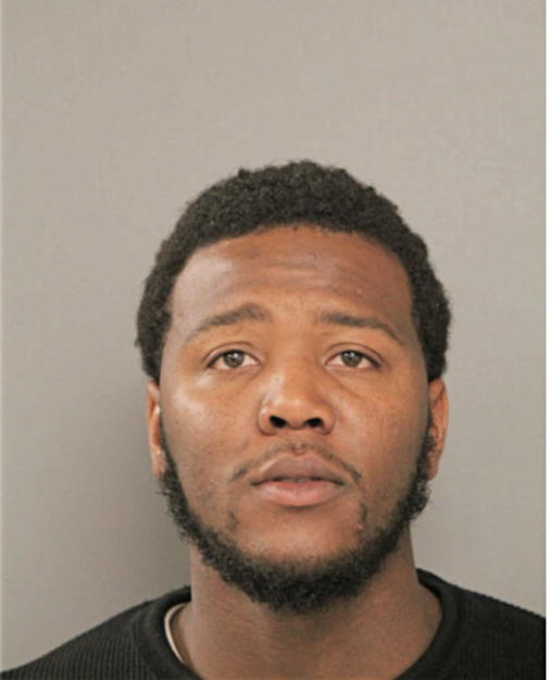 KENDRICK P ANDERSON, Cook County, Illinois