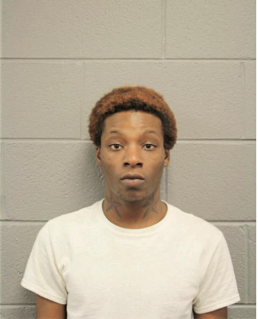 WILLIE E ANDERSON, Cook County, Illinois