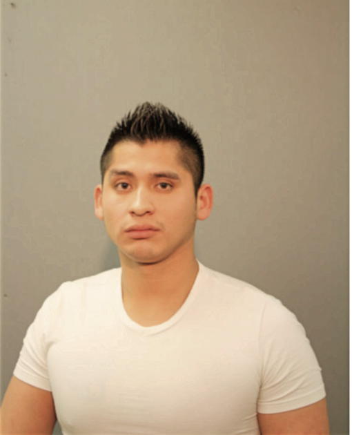 JAVIER E ATEMPA, Cook County, Illinois