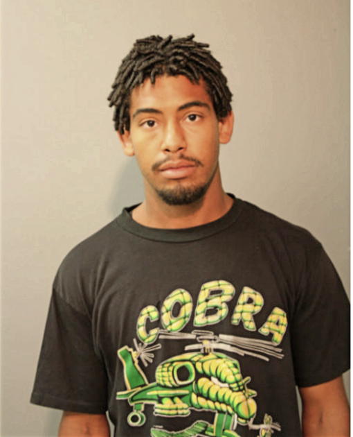 SAMI BARAKAT, Cook County, Illinois