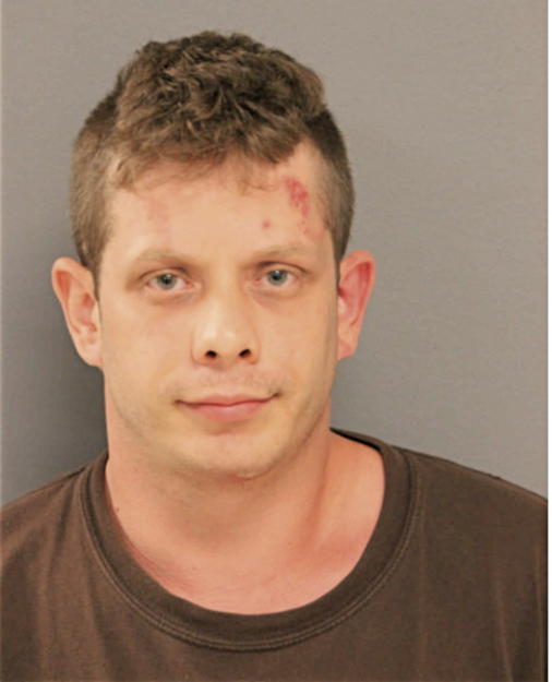 MICHAEL BULVAN, Cook County, Illinois