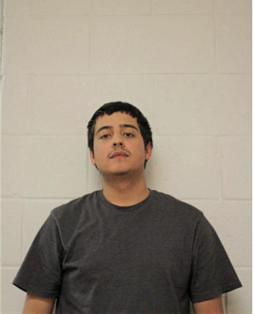 FRANCISCO J CHACON, Cook County, Illinois