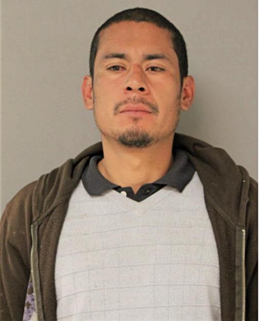 ASHLEY CRUZ, Cook County, Illinois