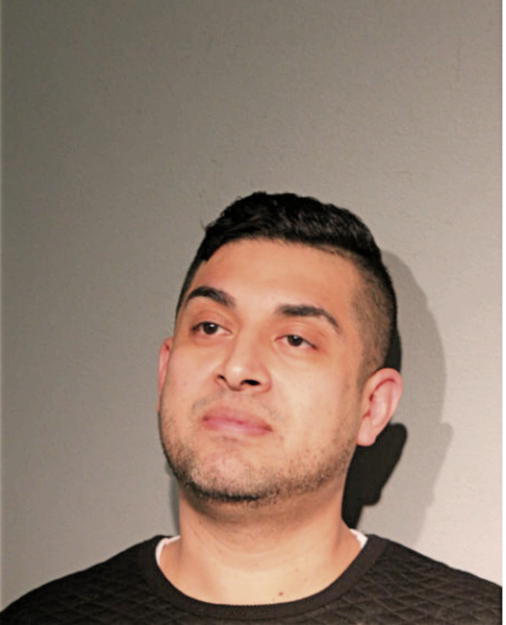 DAVID L DOMINGUEZ, Cook County, Illinois