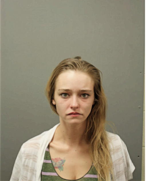 AMBER L FARRIOLS, Cook County, Illinois