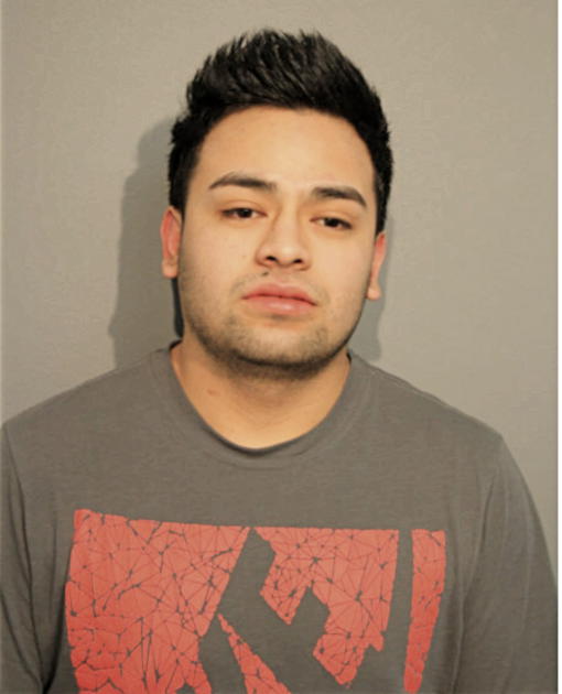 JORGE L FLORES ALVARADO, Cook County, Illinois