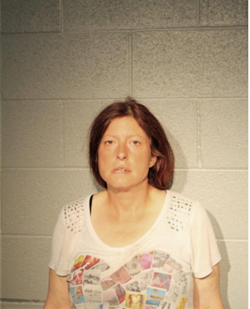 SHELLEY R FREY, Cook County, Illinois