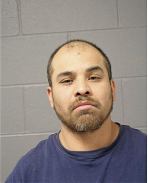 LUIS R GALVAN, Cook County, Illinois