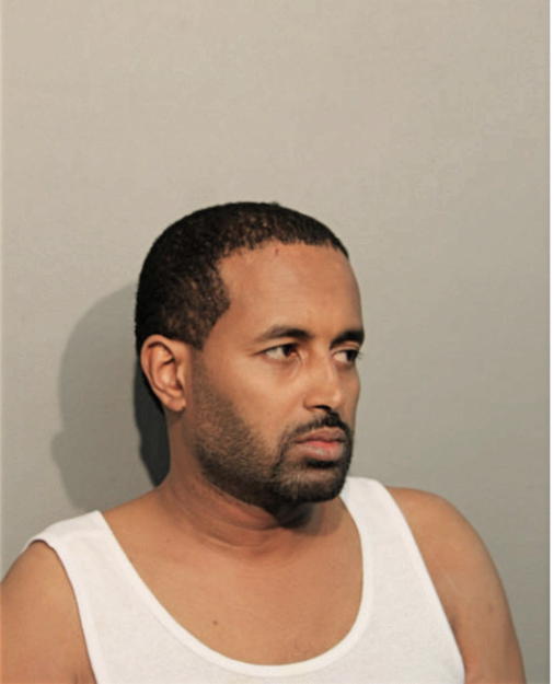 TEMESGEN GEDAR, Cook County, Illinois