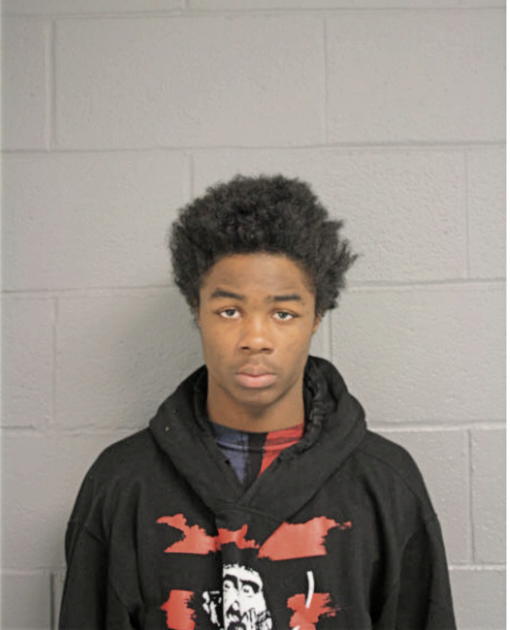 TYRONE J JOHNSON, Cook County, Illinois