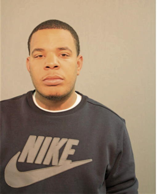 LUTHER A LANDERS, Cook County, Illinois
