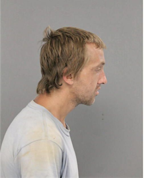 STEVEN A LEESON, Cook County, Illinois