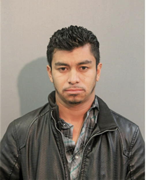 LUCIANO MENDOZA, Cook County, Illinois
