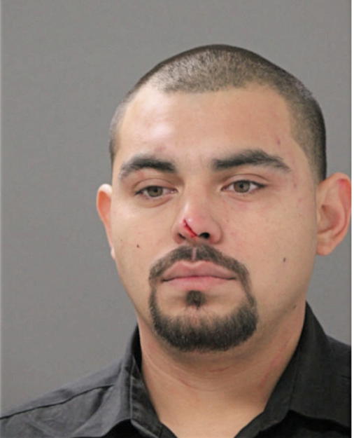 LUIS ANGEL MOTA, Cook County, Illinois