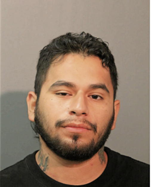 SAUL OCAMPO, Cook County, Illinois