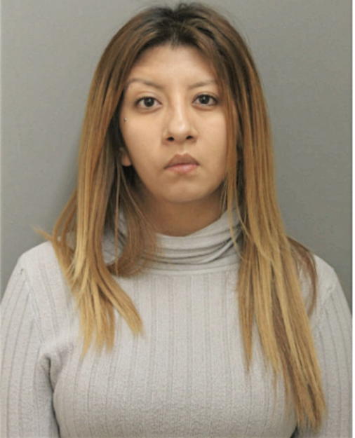 FANNY PARAMO, Cook County, Illinois