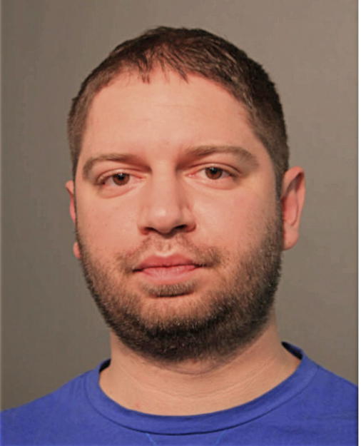 BOJAN PEJCSIC, Cook County, Illinois