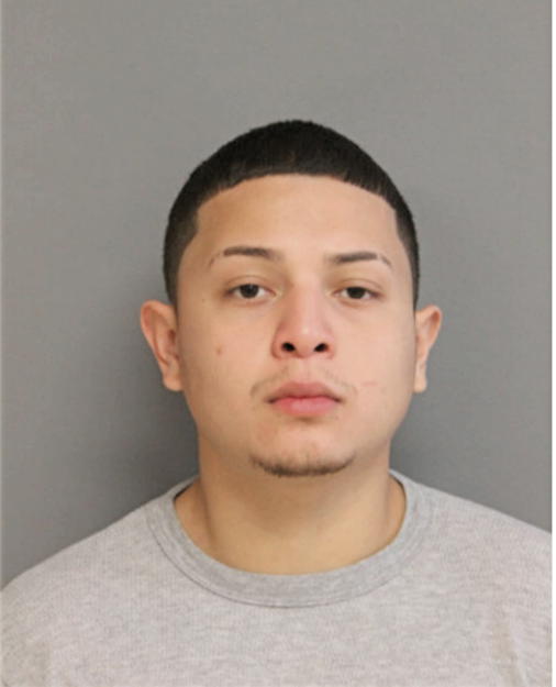 LARRY F PENA, Cook County, Illinois