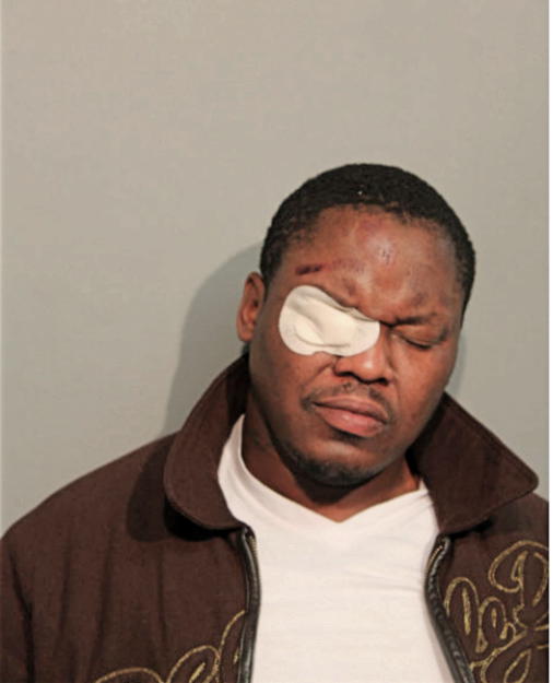 DOMINICK RICE, Cook County, Illinois