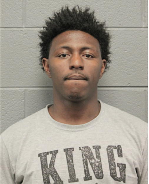 MARK A ROGERS, Cook County, Illinois