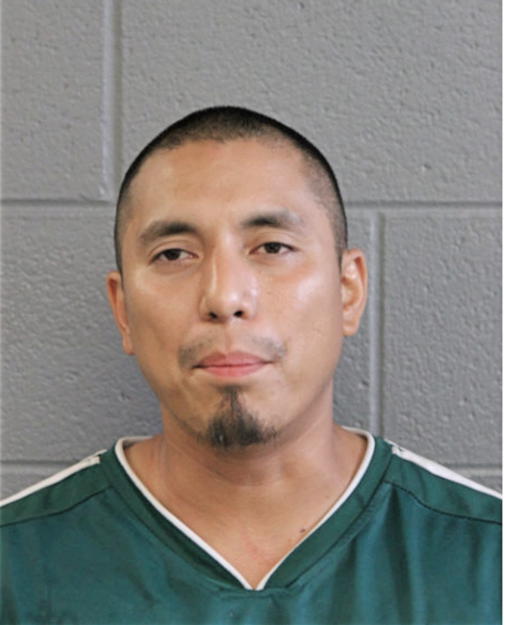 ADONIS SALGADO, Cook County, Illinois