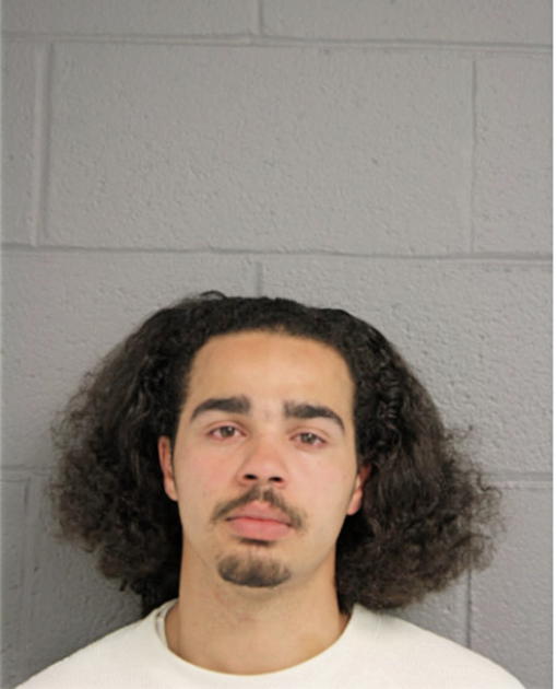 PAUL R TOWNES, Cook County, Illinois