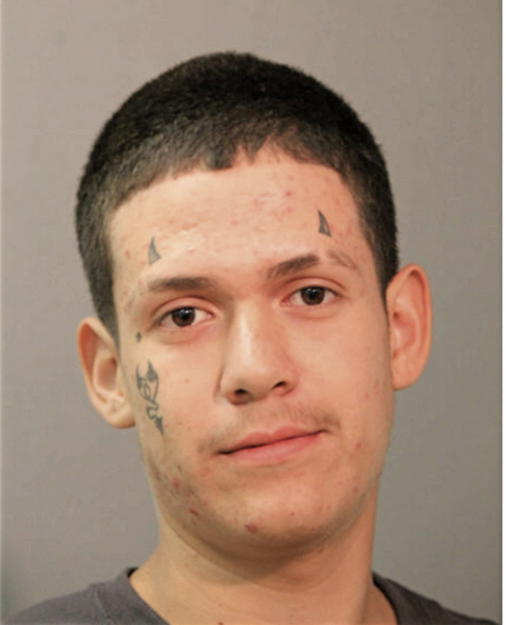 JOSE L ANGUIANO, Cook County, Illinois