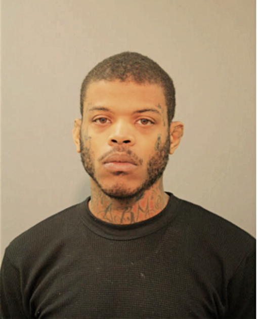 SERGIO J BRISBON, Cook County, Illinois