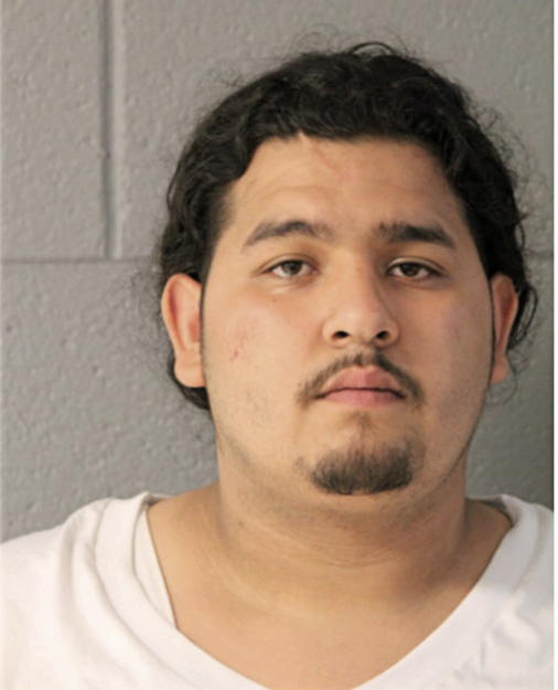 ROBERT R DOMINGUEZ, Cook County, Illinois