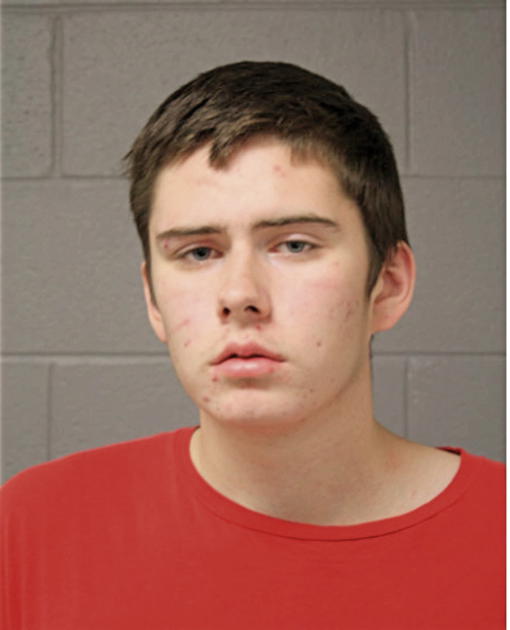 RYAN M GRZADZIEL, Cook County, Illinois