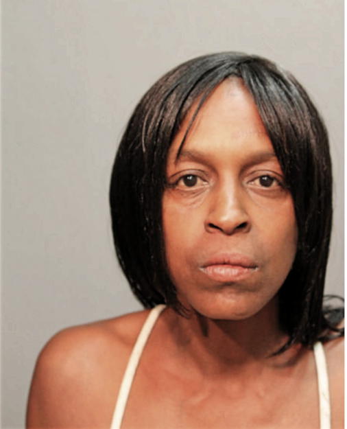 INGRID M HOUSTON, Cook County, Illinois