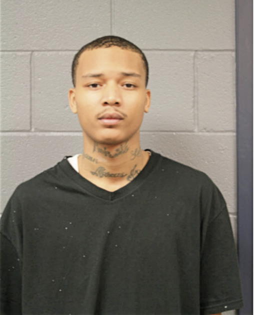 MARCUS J HUDSON, Cook County, Illinois