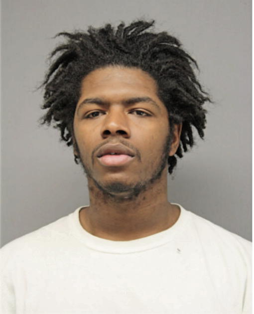 DARELL A JOHNSON, Cook County, Illinois