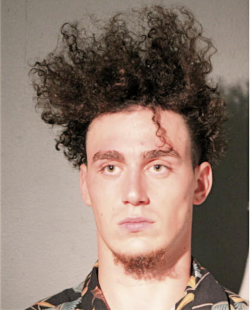 GREGORY LEE JOHNSON, Cook County, Illinois
