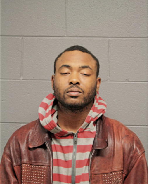 TIMOTHY L JOHNSON, Cook County, Illinois