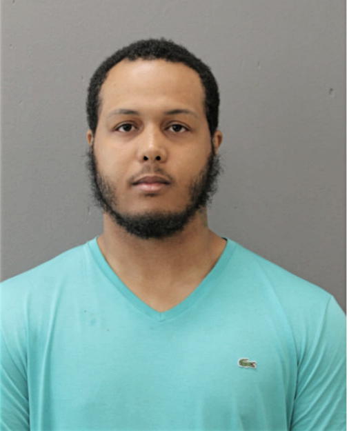 DOMINIQUE D JONES, Cook County, Illinois