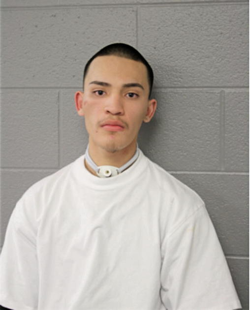 JOSE L JUAREZ, Cook County, Illinois