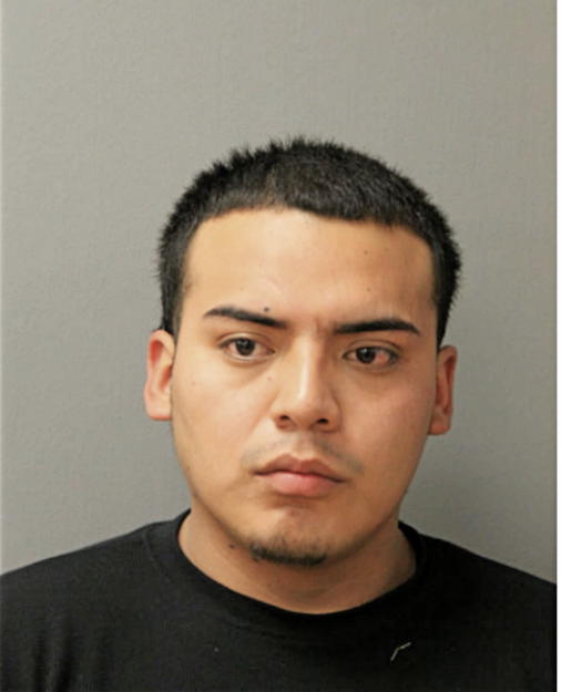 MILTON G LANDI, Cook County, Illinois